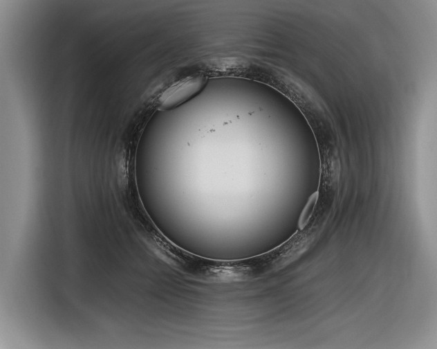 X0000116620558200912111158