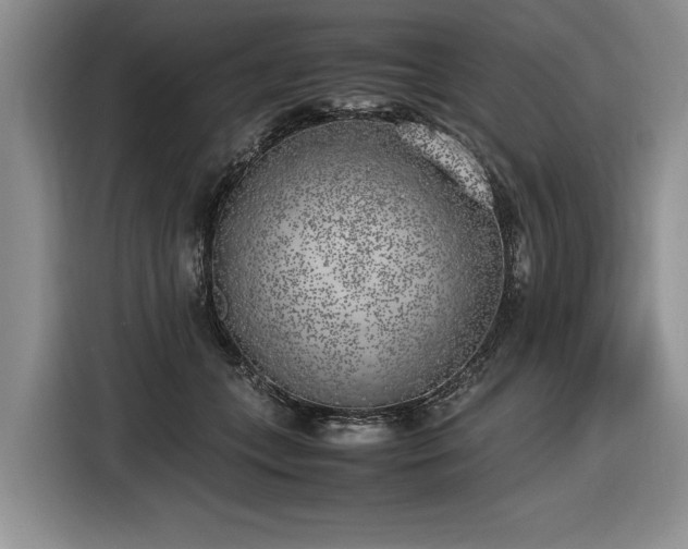 X0000116620559200912111158