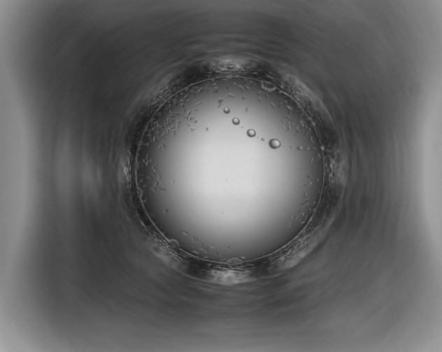 X0000116620561200912111158