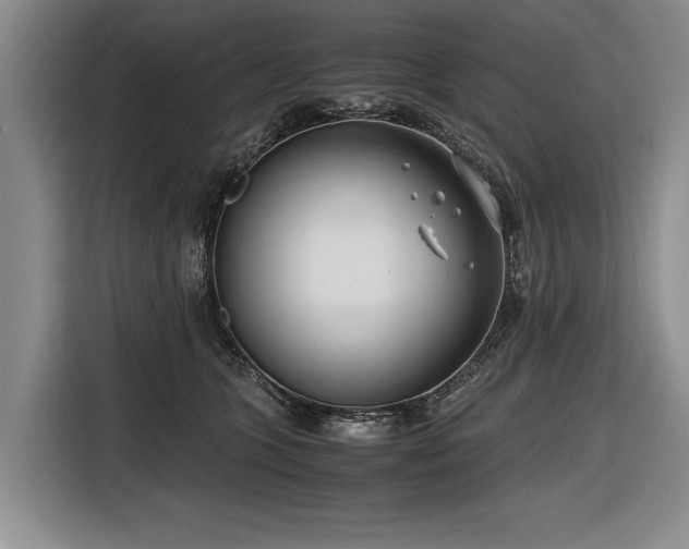 X0000116620563200912111158