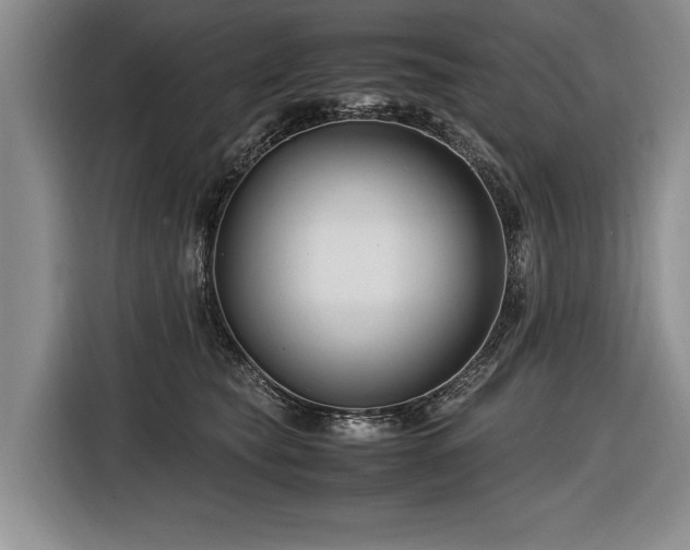 X0000116620565200912111158