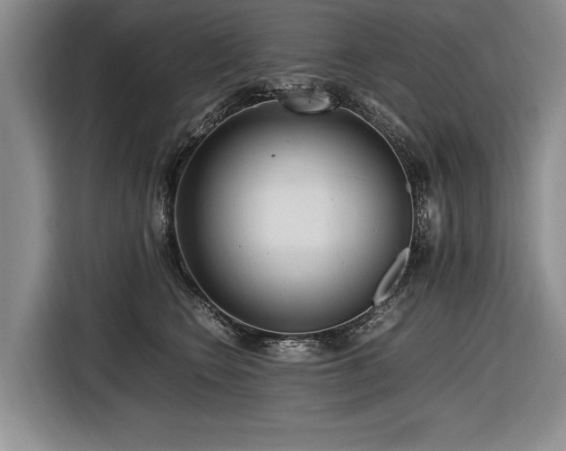 X0000116620566200912111158