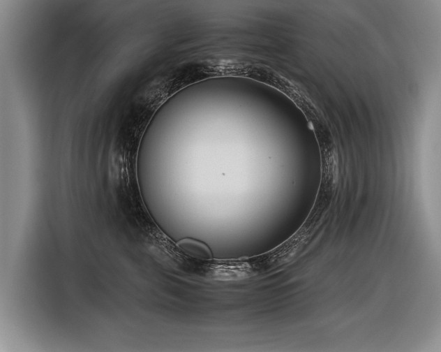 X0000116620571200912111158