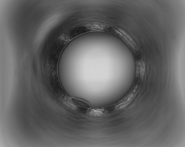 X0000116620573200912111159