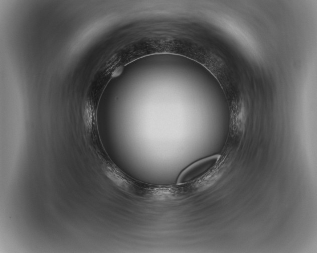 X0000116620574200912111159