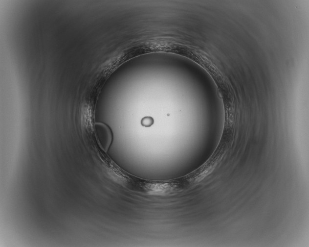 X0000116620575200912111159