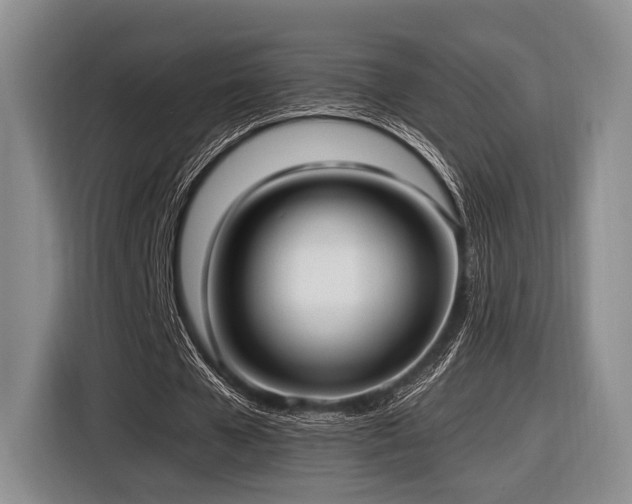 X0000116620577200912111158