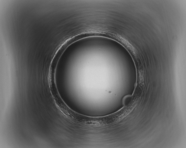 X0000116620580200912111158