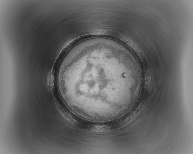X0000116620584200912111158