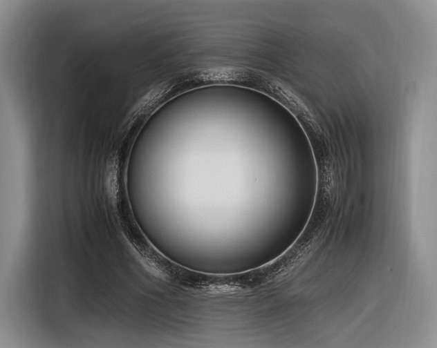 X0000116620586200912111158