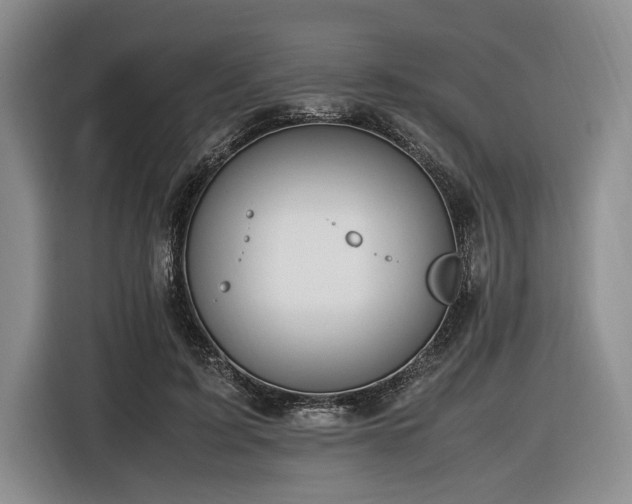 X0000116620595200912111158