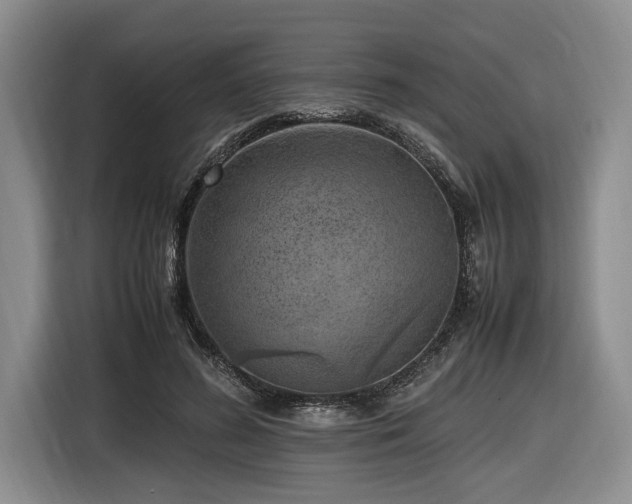 X0000116620596200912111158