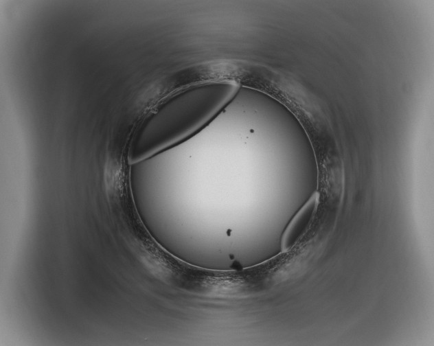 X0000116620597200912111158