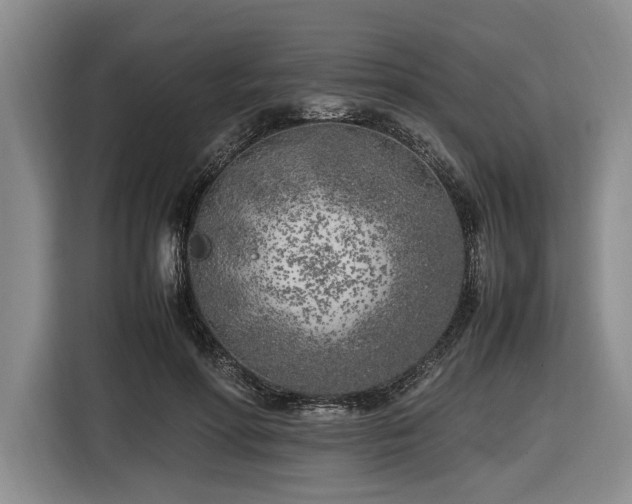 X0000116620598200912111158