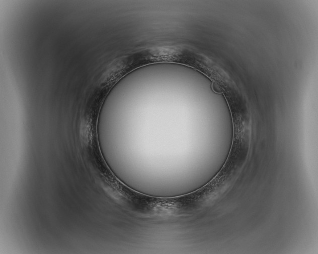 X0000116620599200912111158