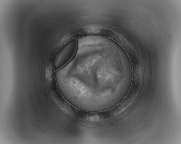X0000116620600200912111158