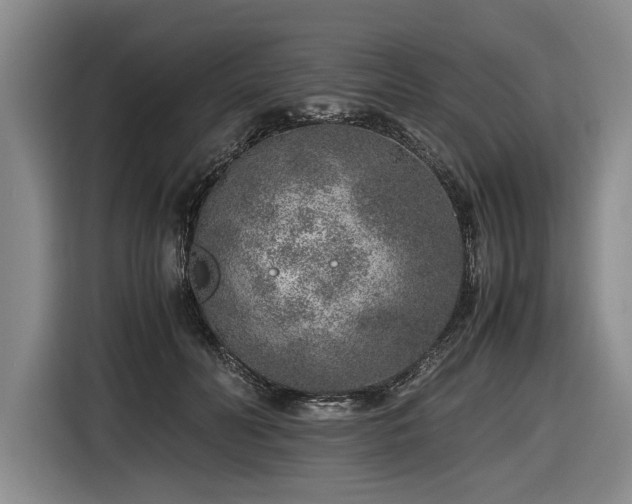 X0000116620606200912111158