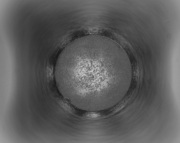 X0000116620610200912111158