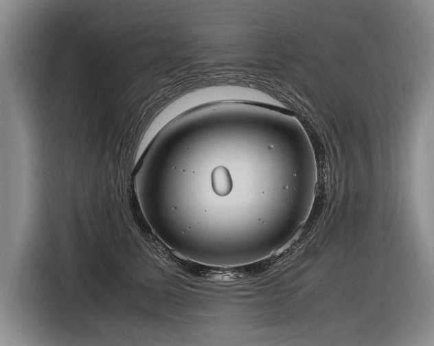 X0000116620611200912111157
