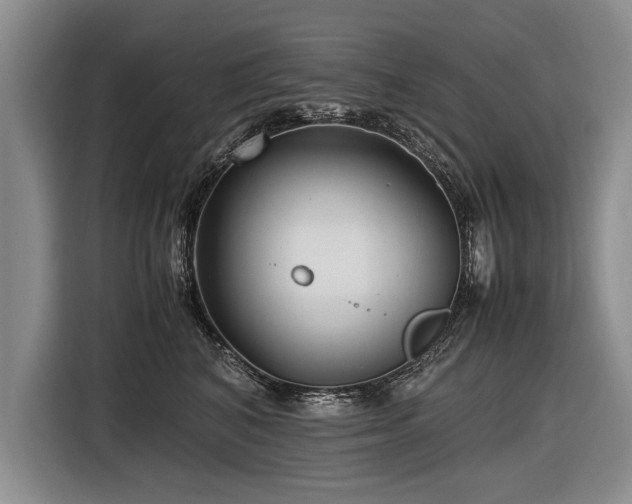 X0000116620616200912111157