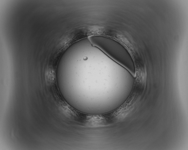 X0000116620621200912111157