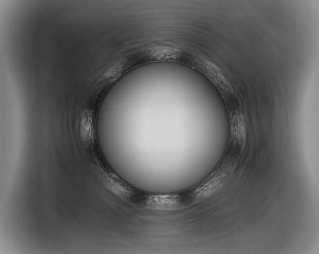 X0000116620622200912111157