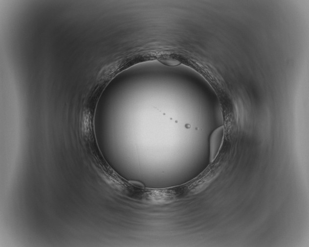 X0000116620623200912111157