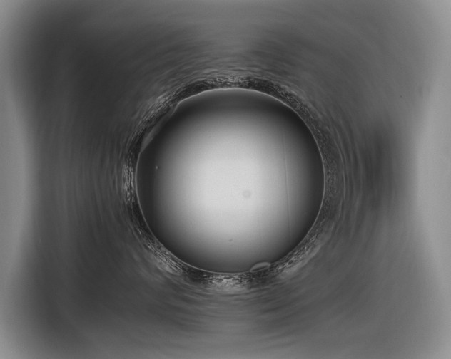X0000116620624200912111157