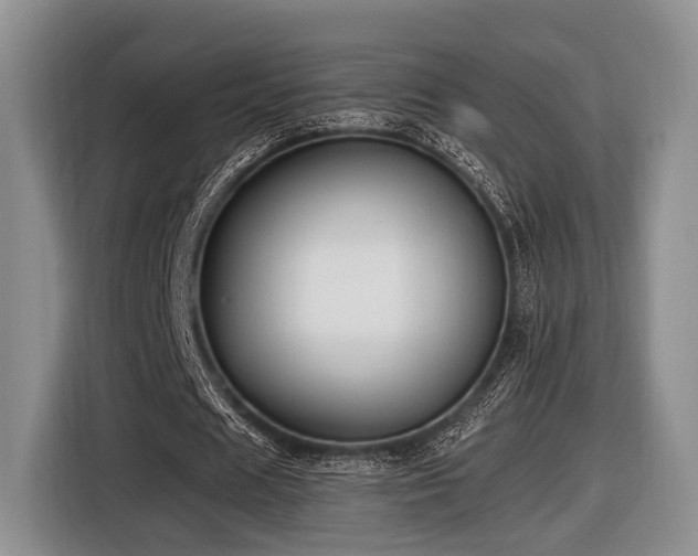 X0000116620625200912111157