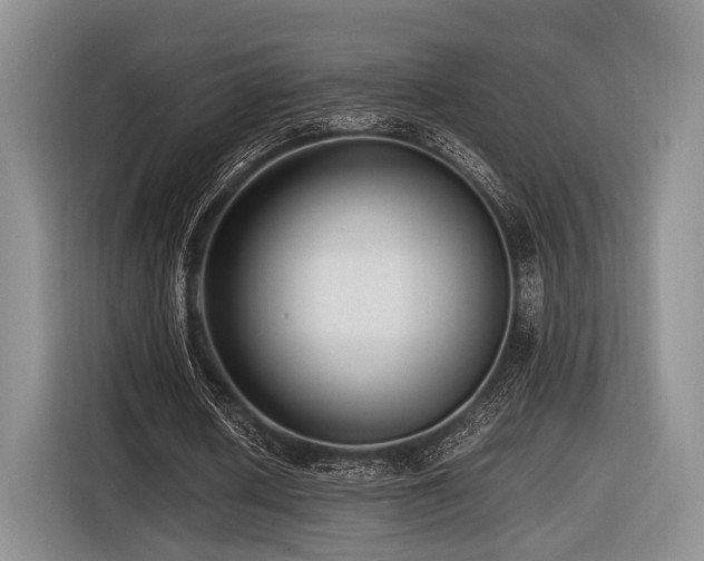 X0000116620626200912111157