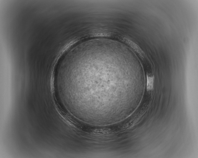 X0000116620627200912111157