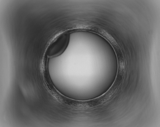 X0000116620628200912111157