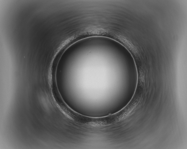 X0000116620630200912111157