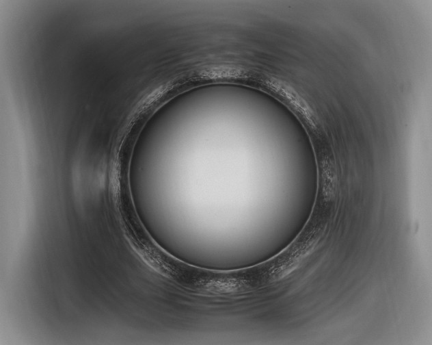 X0000116620631200912111157