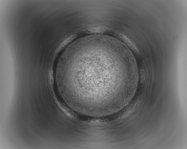 X0000116620634200912111157