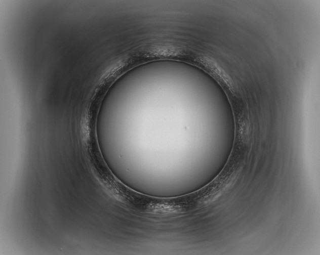 X0000116620635200912111157