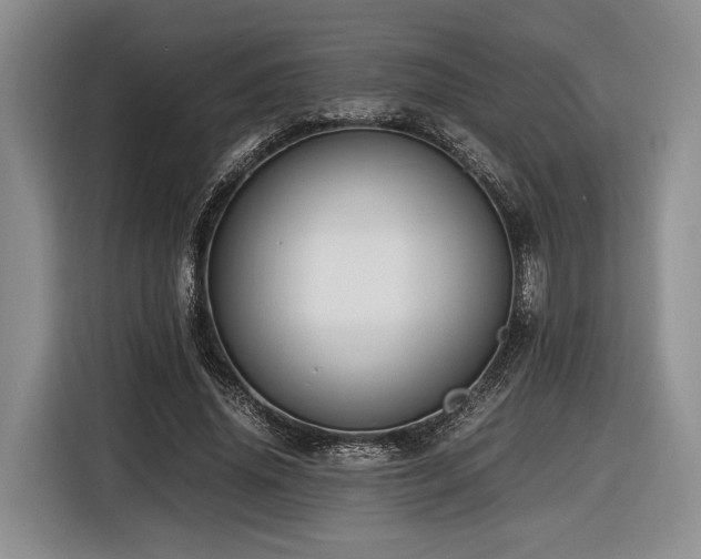 X0000116620636200912111157