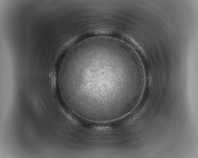X0000116620637200912111157