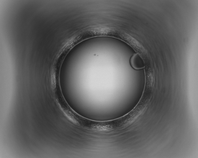 X0000116620638200912111157