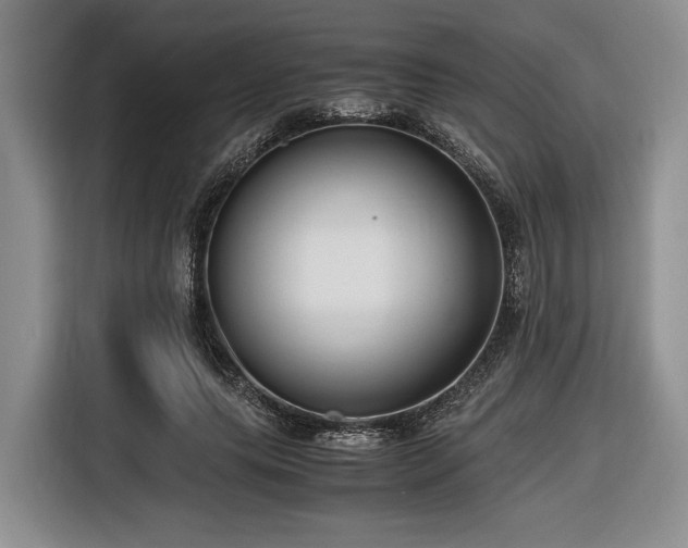 X0000116620639200912111157