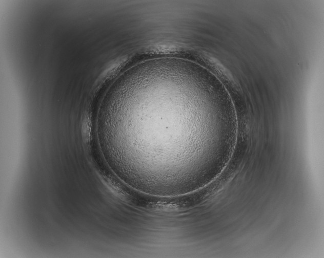 X0000116620640200912111157