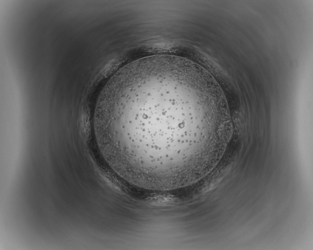 X0000116620642200912111157