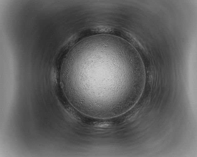 X0000116620643200912111157