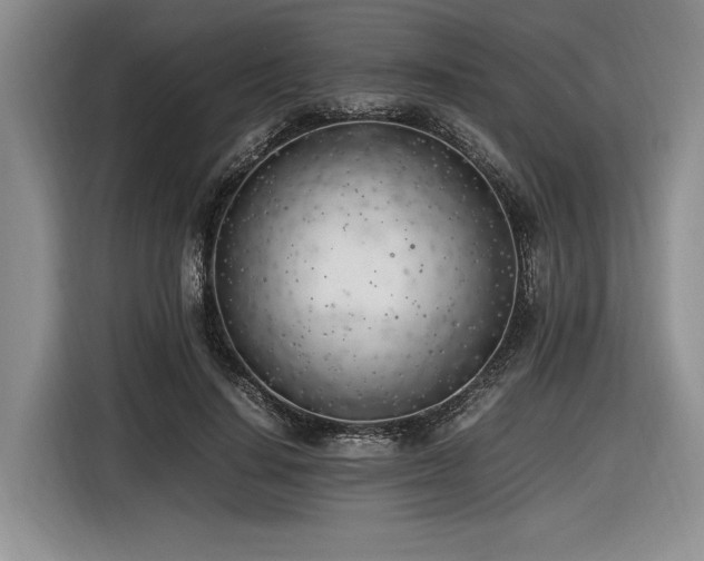 X0000116620644200912111157