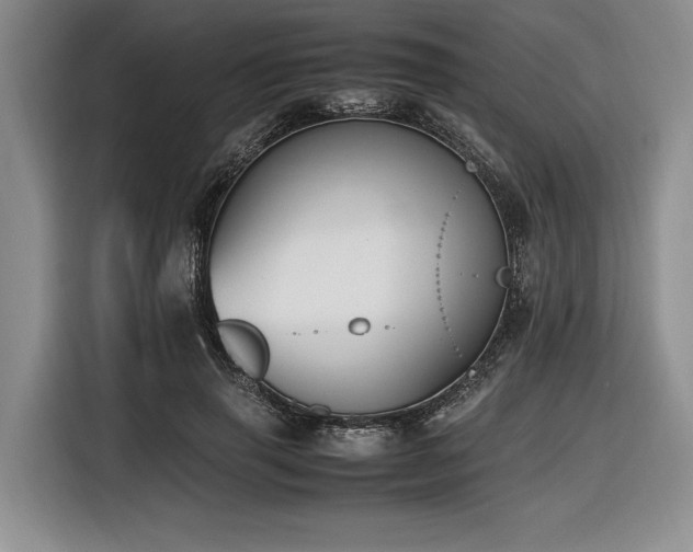 X0000116620645200912111157