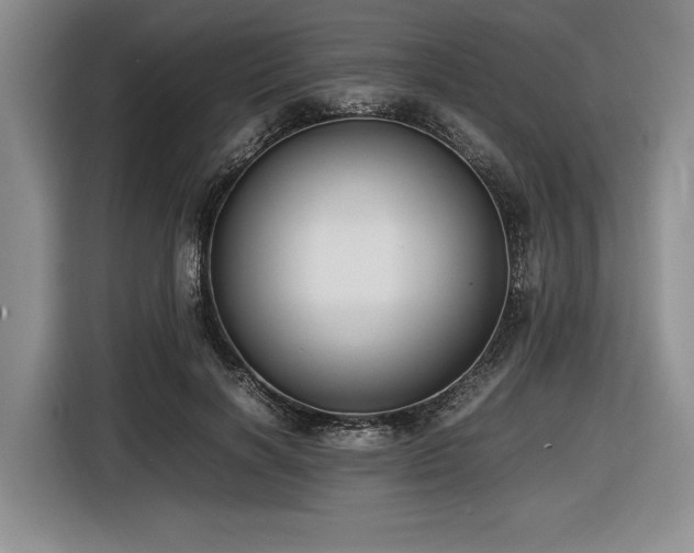 X0000116620646200912111157
