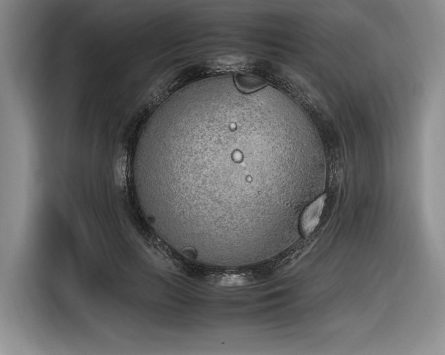X0000116620647200912111157