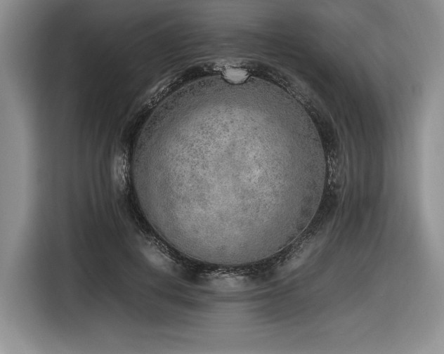 X0000116620648200912111157