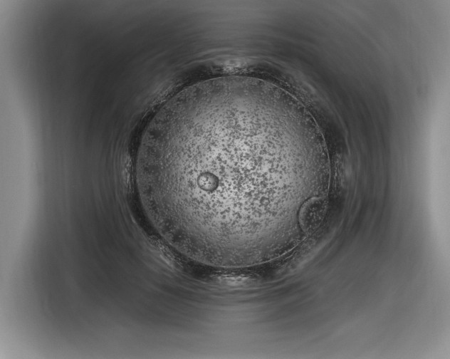 X0000116620650200912111157