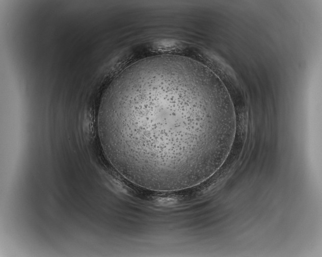 X0000116620653200912111157
